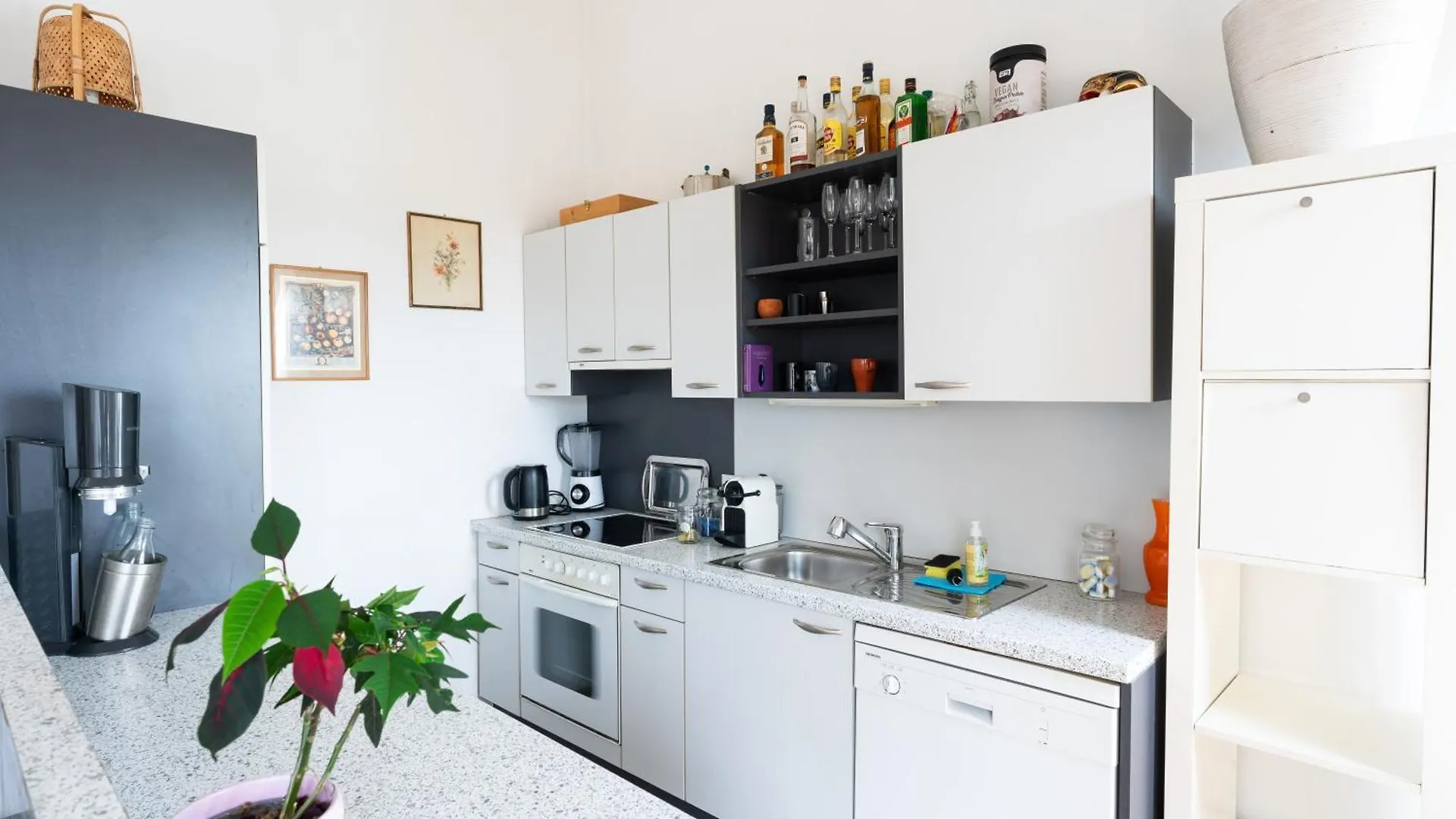 City Paradise Apartment Vienna